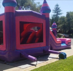 side20view20dual20lane20pink20combo 1744918831 Giant Dual Lane Pink/Purple Combo 32ft